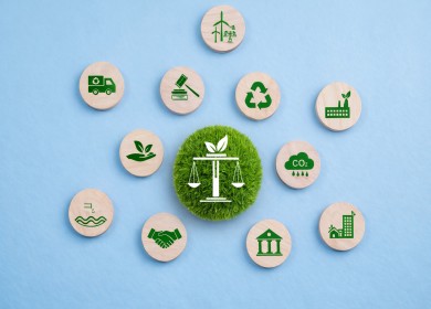 Sustainability & Traceability in Animal-Based Biopolymer